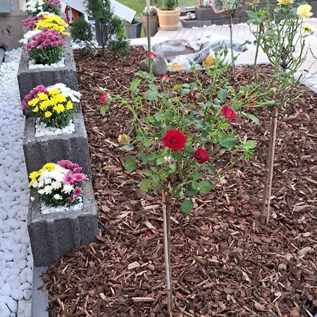 Casa Tua An Der Weinstrasse Apartment