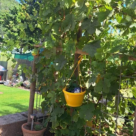 Casa Tua An Der Weinstrasse 아파트 *