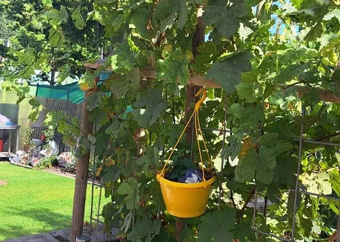 Casa Tua An Der Weinstrasse Apartamento *